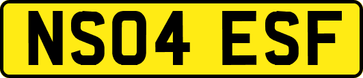 NS04ESF
