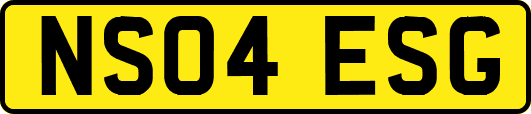 NS04ESG