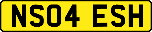 NS04ESH