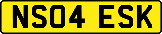 NS04ESK