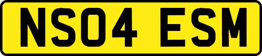 NS04ESM