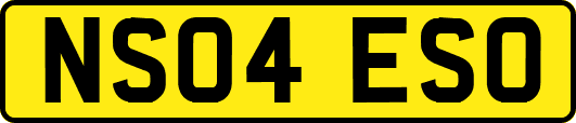 NS04ESO