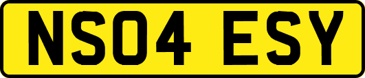 NS04ESY