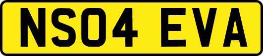 NS04EVA