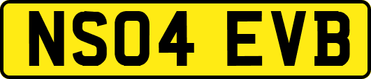 NS04EVB
