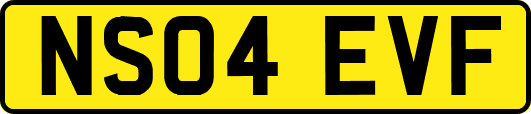 NS04EVF