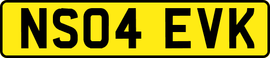 NS04EVK