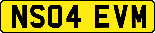NS04EVM