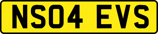 NS04EVS