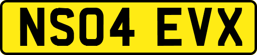 NS04EVX