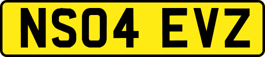 NS04EVZ