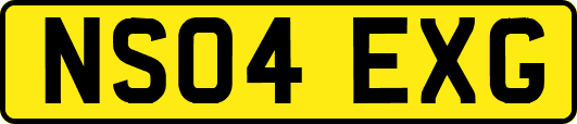 NS04EXG