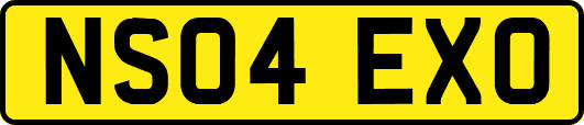 NS04EXO
