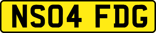 NS04FDG