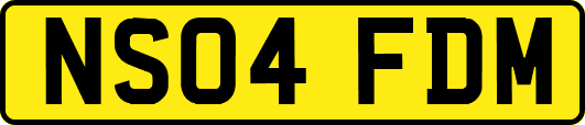 NS04FDM