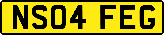 NS04FEG