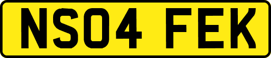 NS04FEK