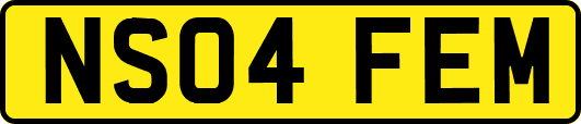 NS04FEM