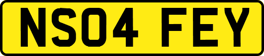 NS04FEY