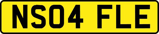 NS04FLE