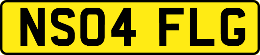 NS04FLG