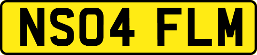 NS04FLM