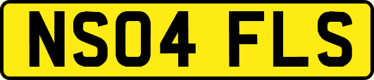 NS04FLS