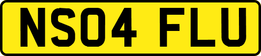 NS04FLU