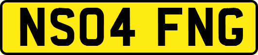 NS04FNG