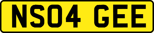 NS04GEE