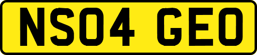 NS04GEO