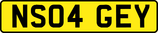 NS04GEY