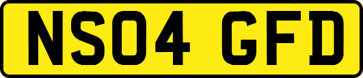 NS04GFD