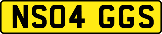 NS04GGS