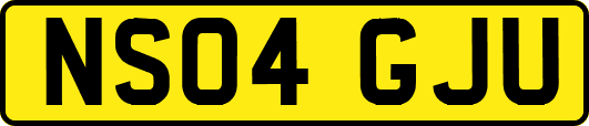NS04GJU
