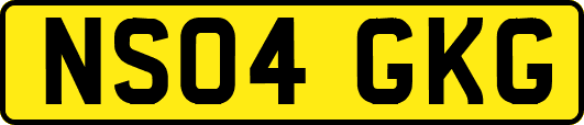 NS04GKG