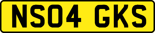 NS04GKS
