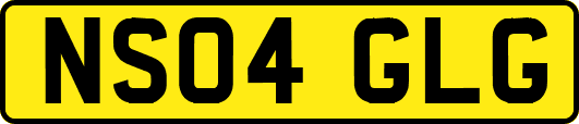 NS04GLG