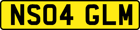 NS04GLM