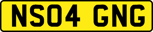 NS04GNG