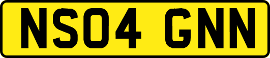 NS04GNN