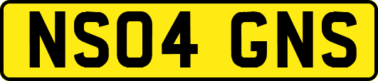 NS04GNS