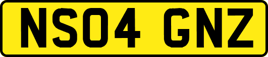 NS04GNZ