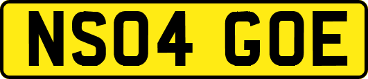 NS04GOE
