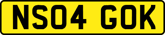 NS04GOK