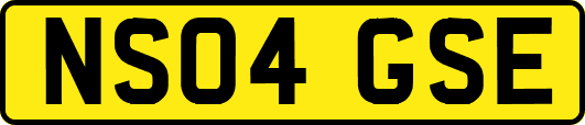 NS04GSE