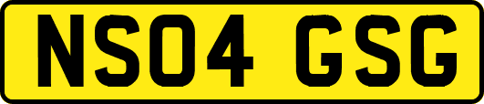 NS04GSG