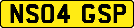 NS04GSP