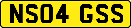 NS04GSS