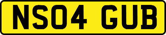 NS04GUB